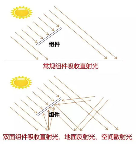 PERC風生水起 雙面PERC借勢狂奔